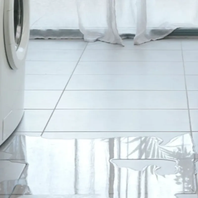 Appliance Leak Cleanup in Green County, WI
