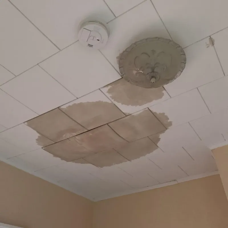 Ceiling Water Damage Repair in Green County, WI