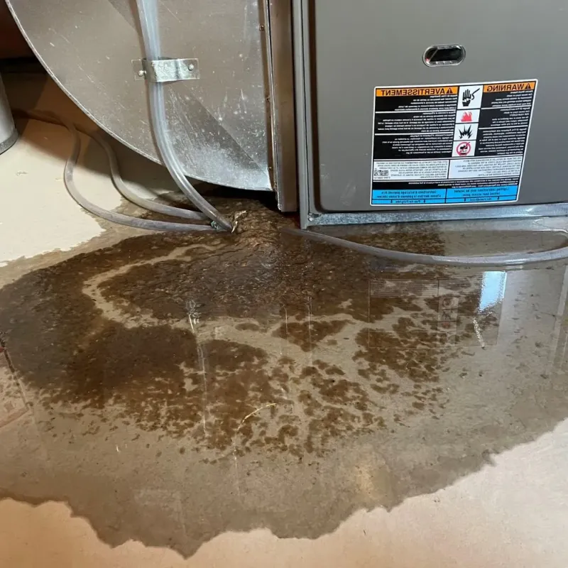 Pipe Burst and Leak Restoration in Green County, WI