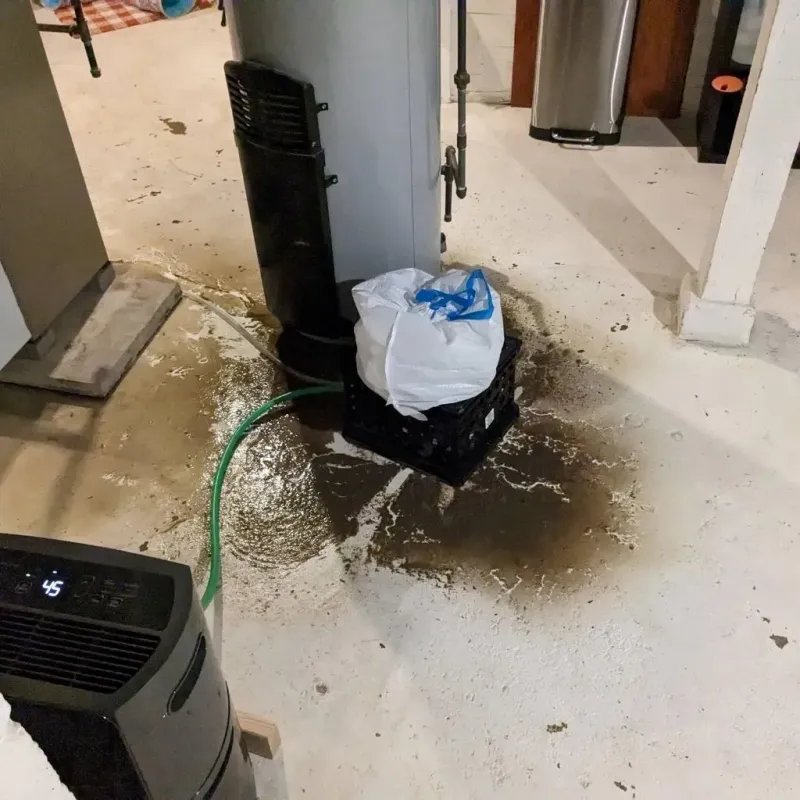 Sewage Backup Cleanup Service in Green County, WI